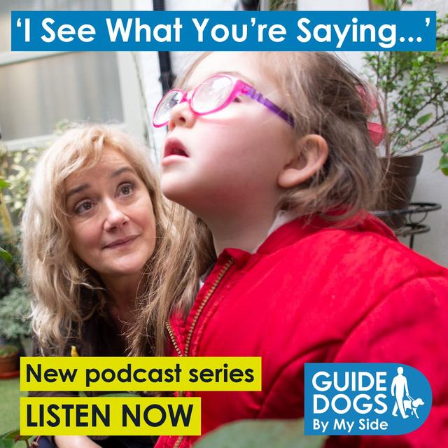 I See What You’re Saying - podcast cover