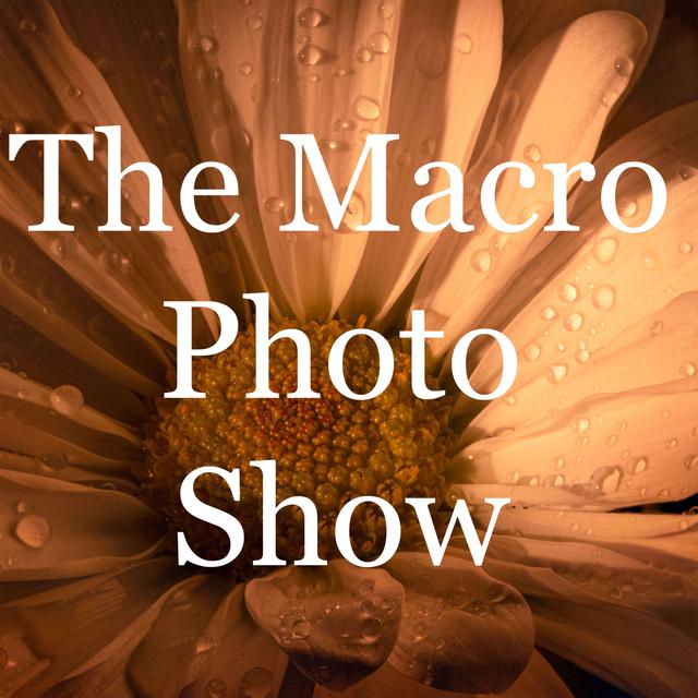 The Macro Photo Show - podcast cover
