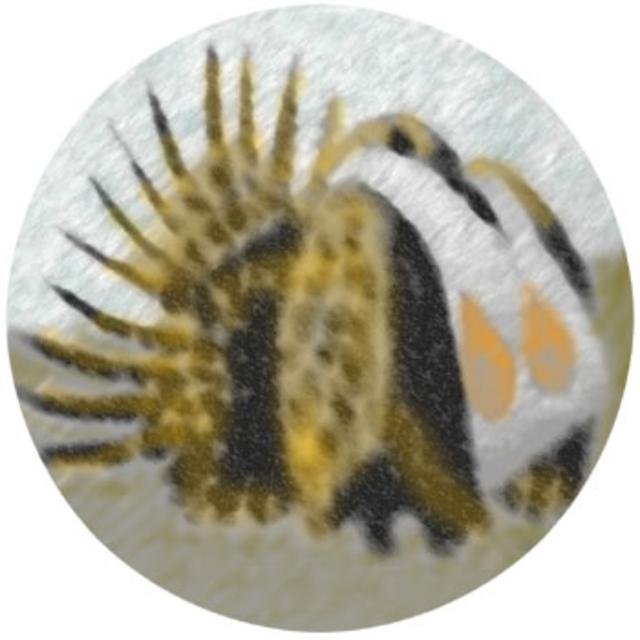 Sagehen Science & Education - podcast cover