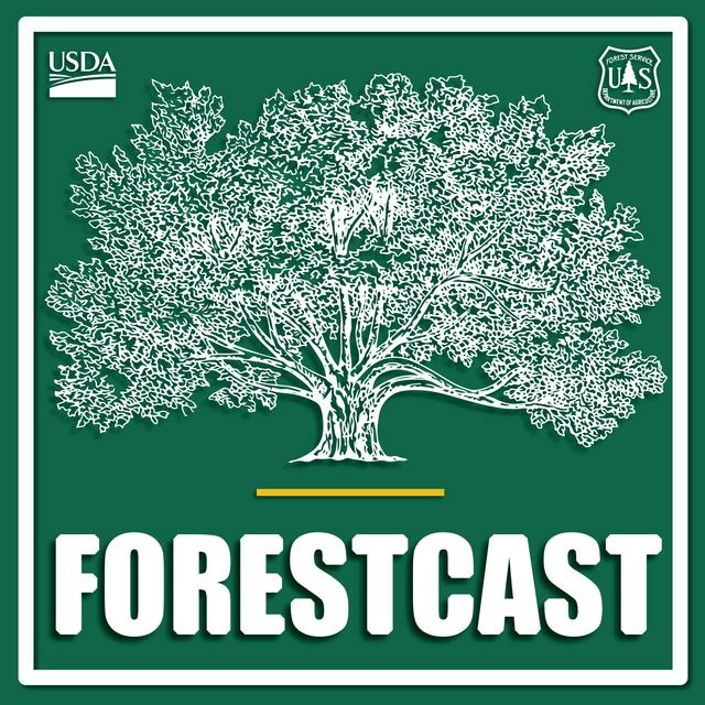 Forestcast - podcast cover