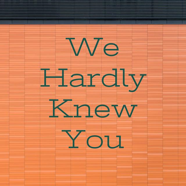 We Hardly Knew You - podcast cover