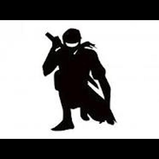 Ninjutsu Training Online - podcast cover