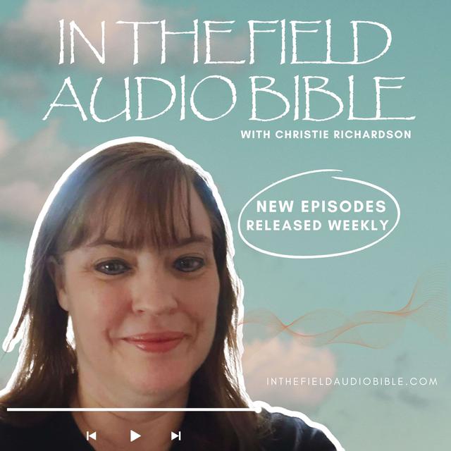 In the Field Audio Bible - podcast cover