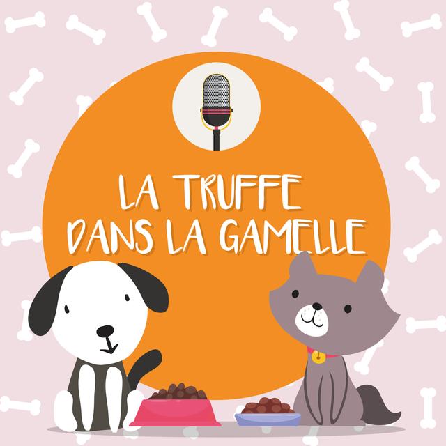 La Truffe dans la Gamelle - podcast cover